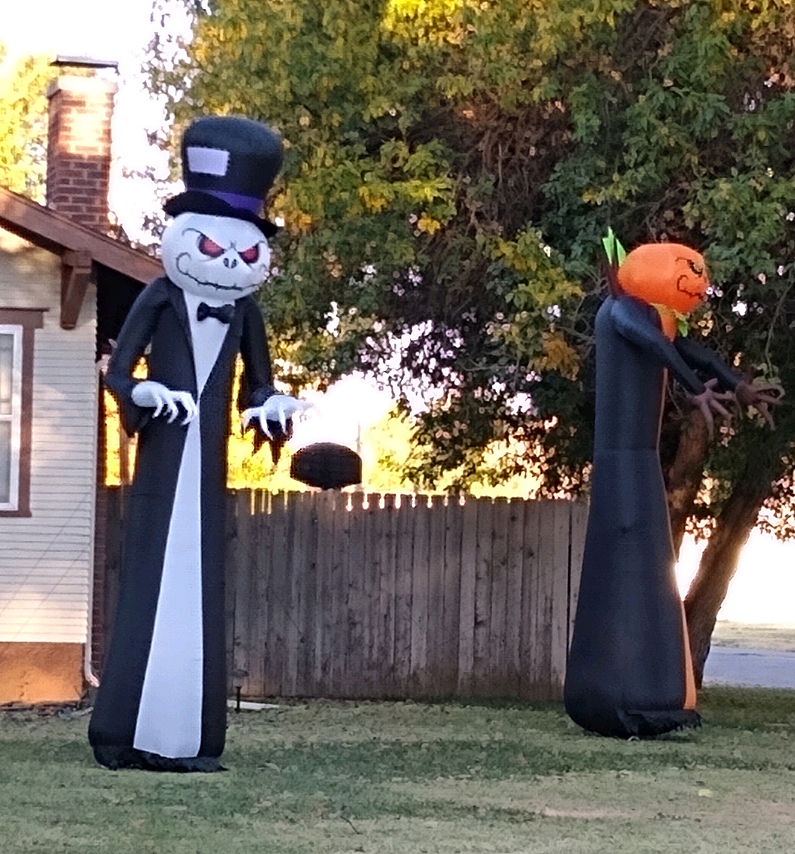 halloween yard